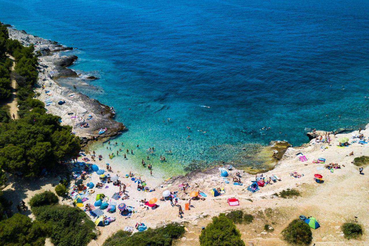 Lovely Istrian Apartment With A Private Swimming Pool And A Charming Garden バニョレ エクステリア 写真